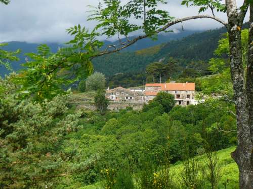 Vakantiehuis Mas Taillet ligt midden in het groen in de bergen.