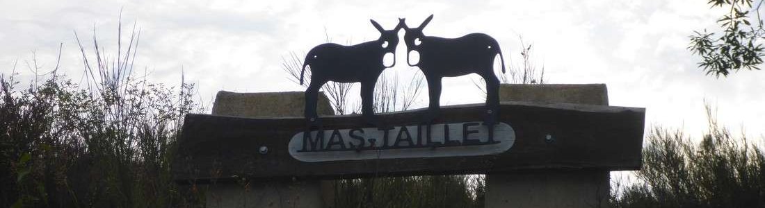Op Mas Taillet lopen vijf ezels, zij zijn de basis voor ons logo.